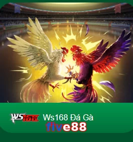 five88